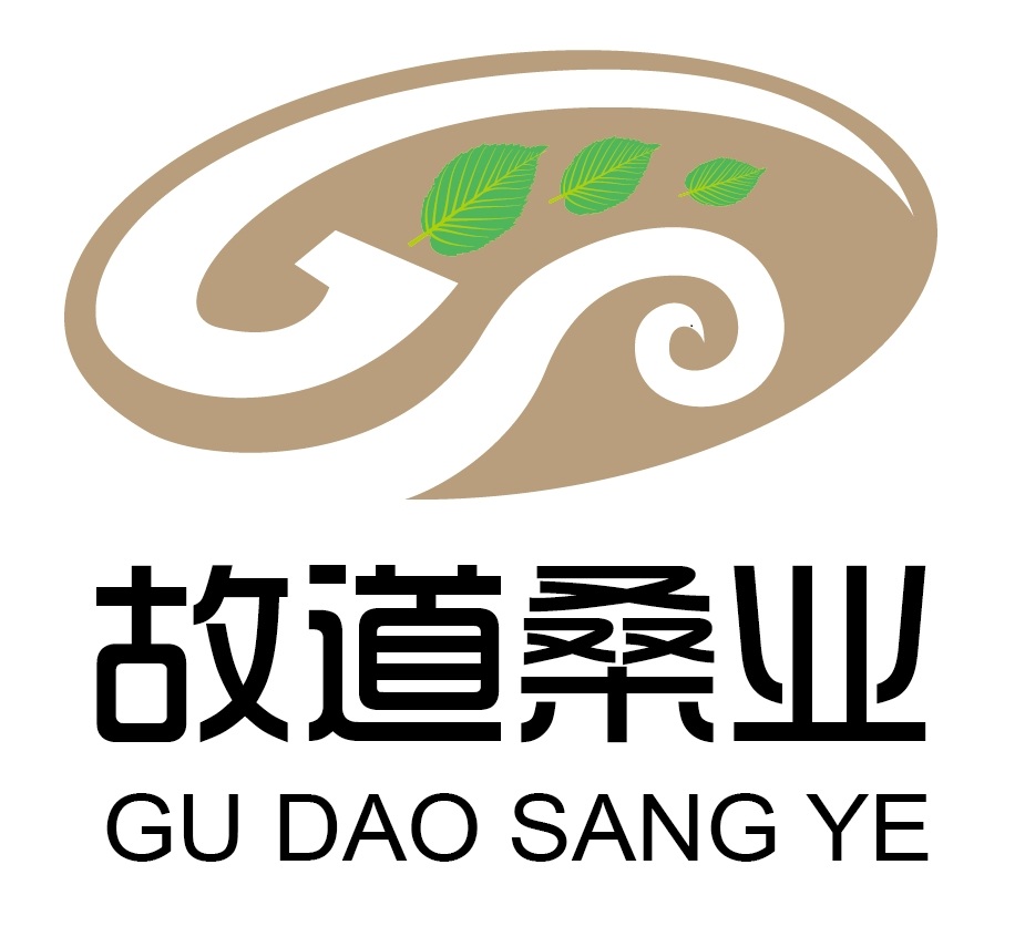 喝茶就可以防脫生發(fā)，太神奇了！桑葉養(yǎng)生茶