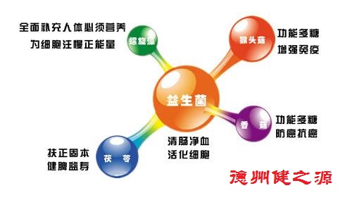 腸胃功能差，益生菌就可以解決一切