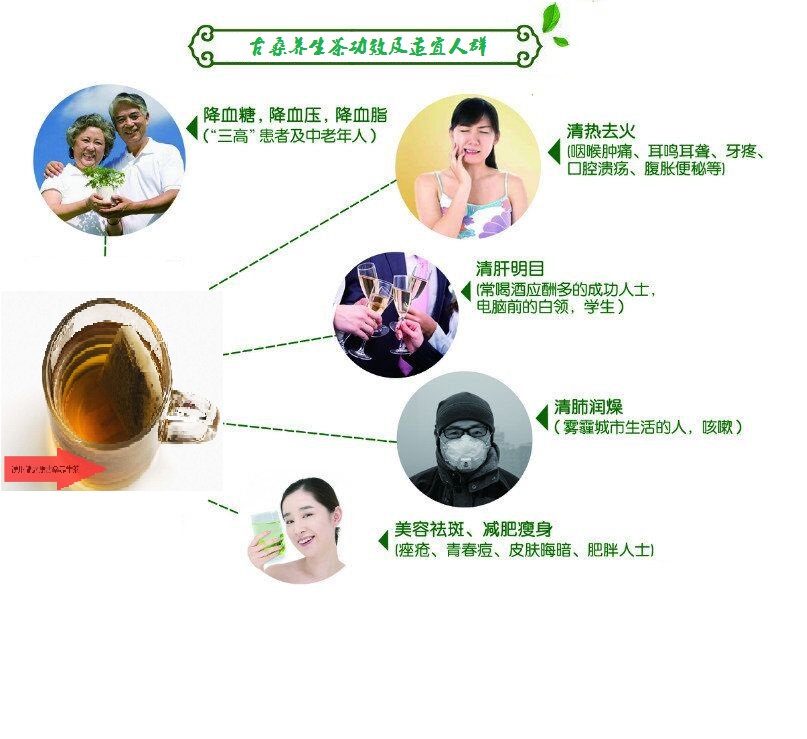 桑葉茶，營養(yǎng)長壽健康之茶