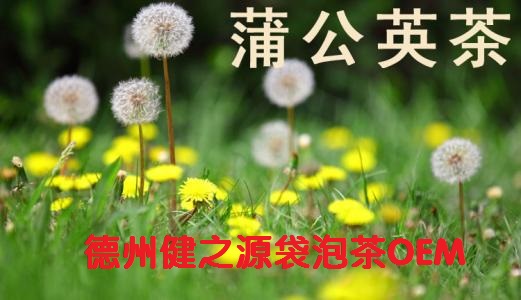 蒲公英茶，今天您喝了嗎？