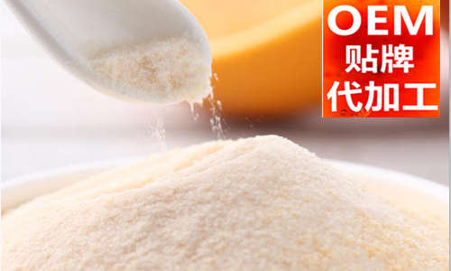 粉劑代加工廠(chǎng)家-固體飲料貼牌-德州健之源